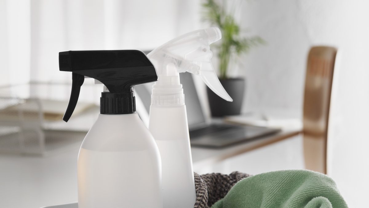 Ménage et repassage à domicile : un service de confiance avec La Maison des Ptitous