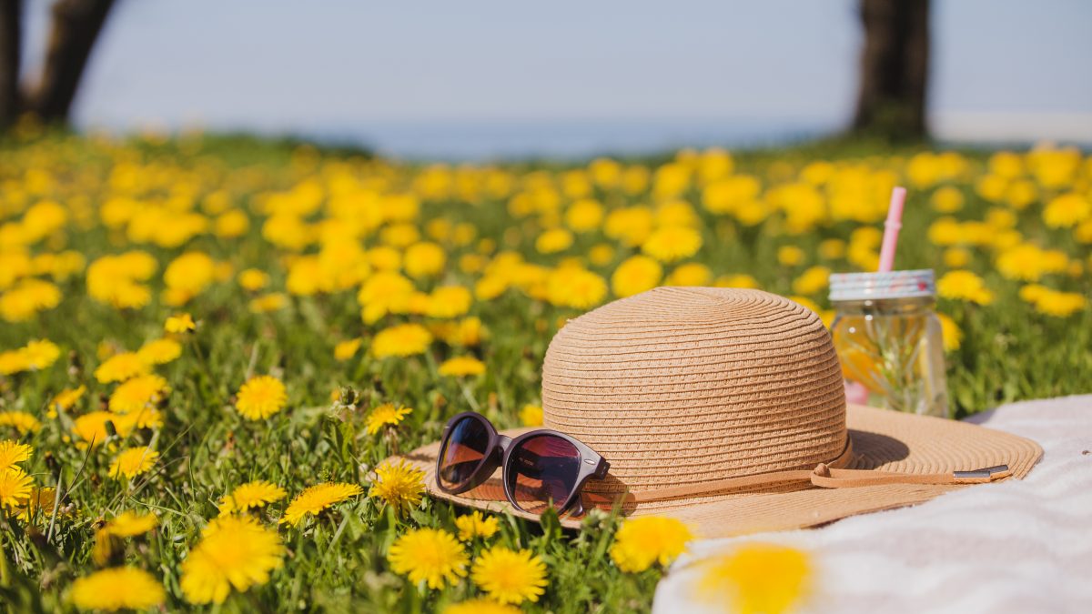 Offrez à vos enfants un été créatif et serein avec La Maison des Ptitous