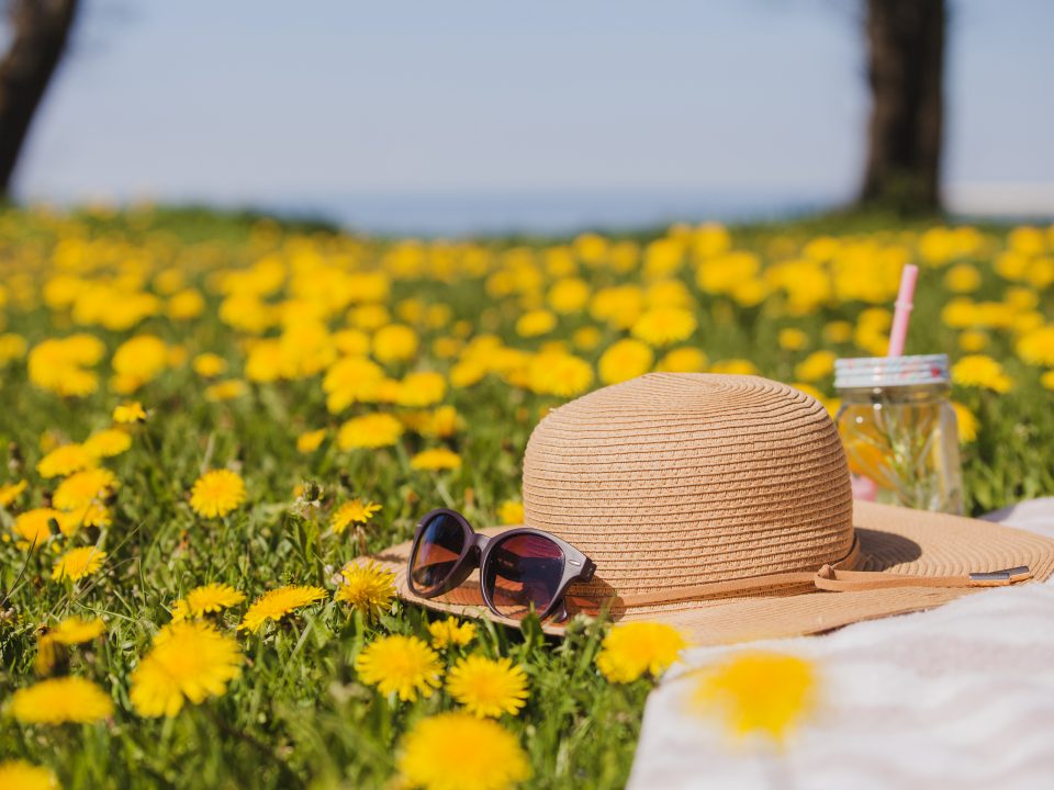 Offrez à vos enfants un été créatif et serein avec La Maison des Ptitous