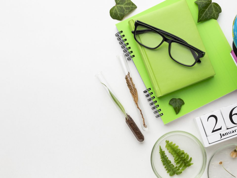 Préparer la rentrée scolaire 2026 sereinement grâce à la garde d’enfants à domicile